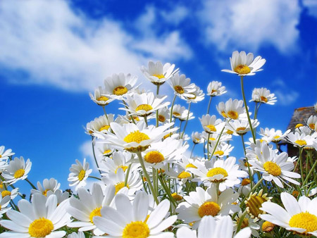 blog_primavera_1