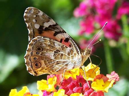 blog_primavera_2