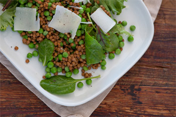 salada-lentilha-hortela