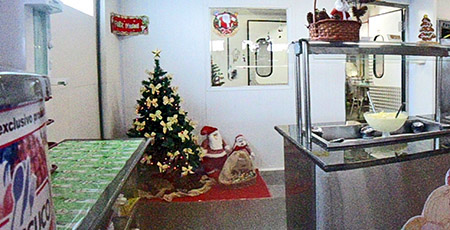 wallig_natal2014_02