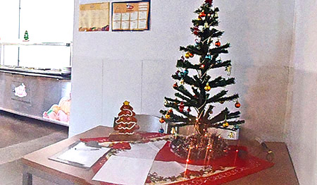 wallig_natal2014_06