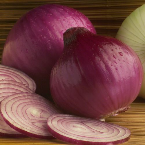 cebola