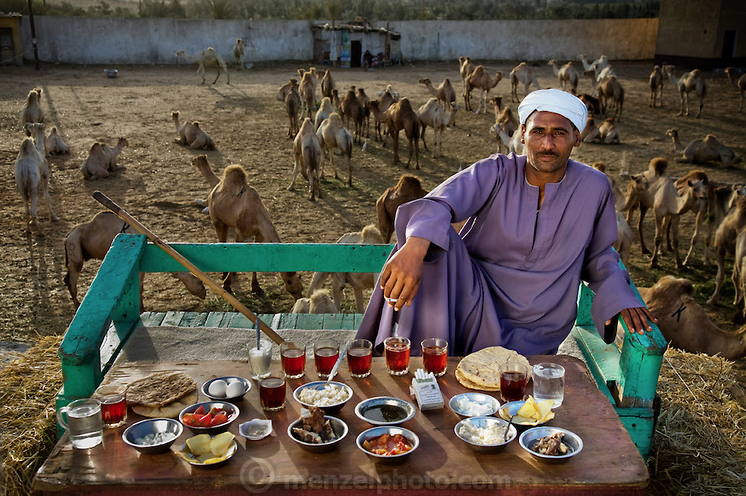 Saleh Abdul Fadlallah, vendedor de camelos, Egito.