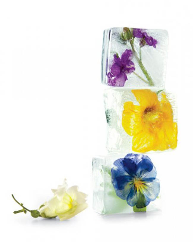 icecubes-flowers